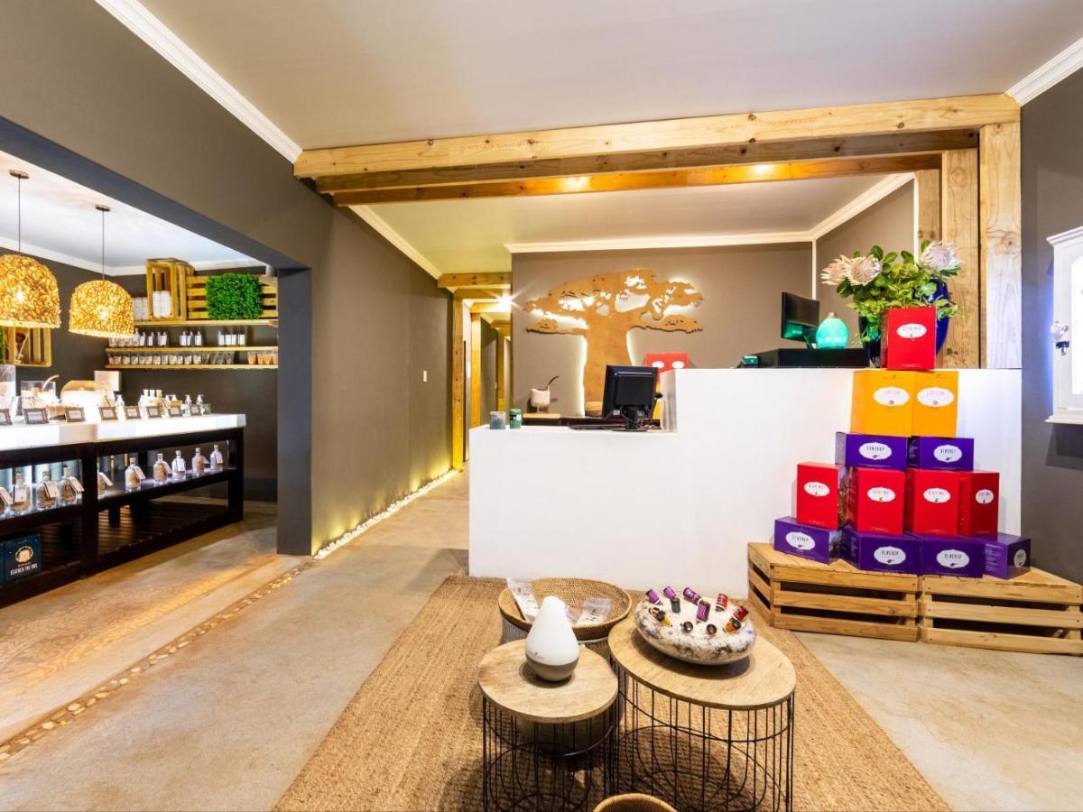 Royal Tree Guest House ポチェフストルーム エクステリア 写真